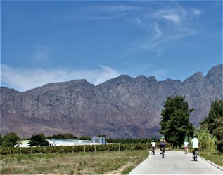 Expérience cycliste Franschhoek au Cap